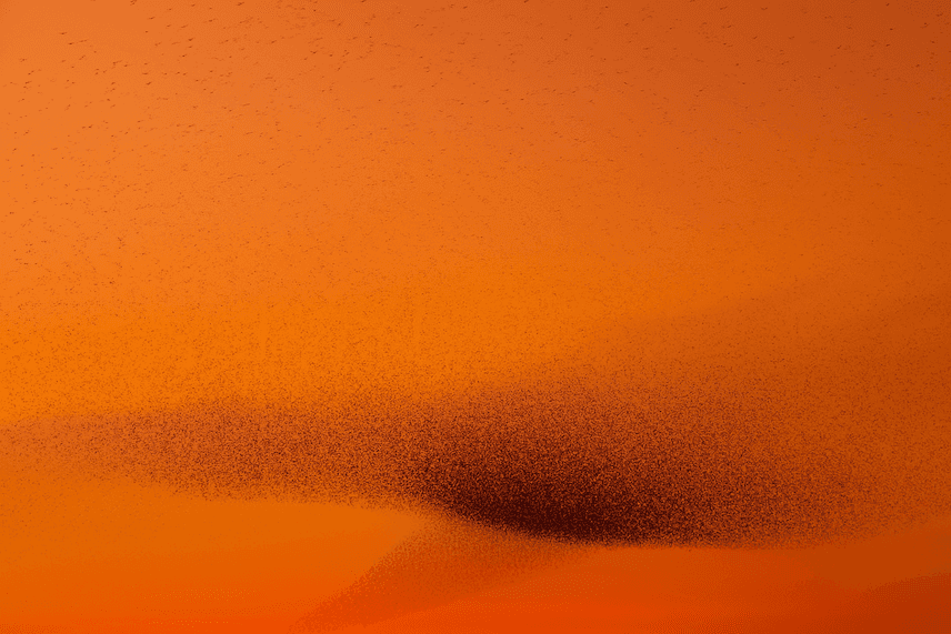 Onwinds ledger visual